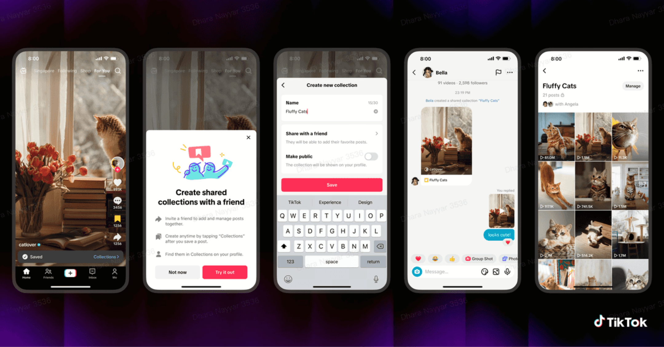 TikTok Announces Shared Feed and Collections Features